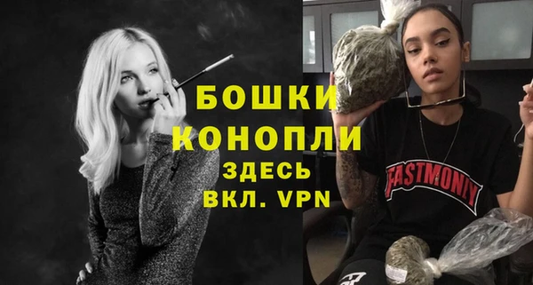 тгк Пестово